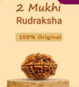 Mukhi Rudraksha 1 (Copy)