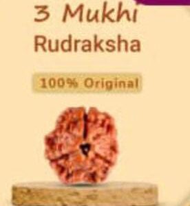 Mukhi Rudraksha 1 (Copy)