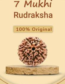 Mukhi Rudraksha 1